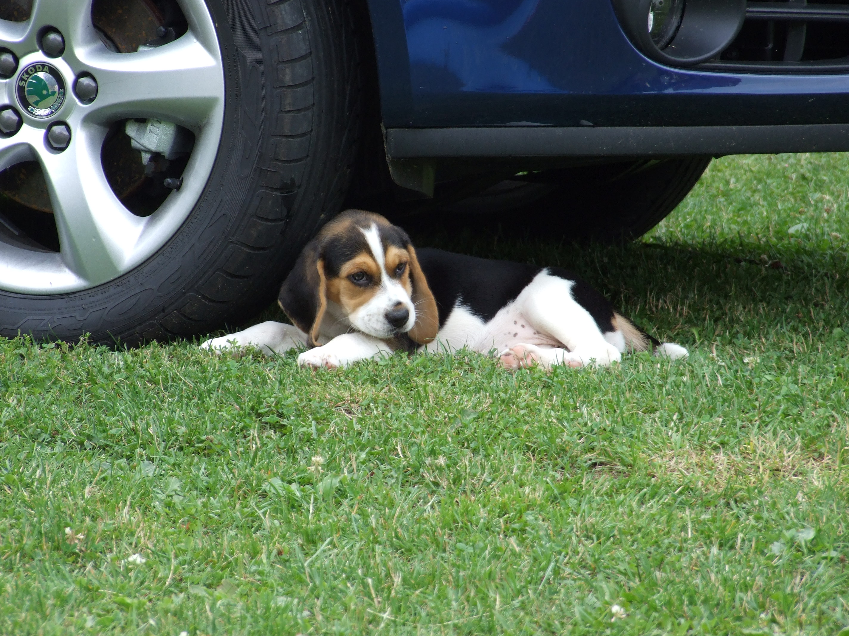 DSCF1553.jpg