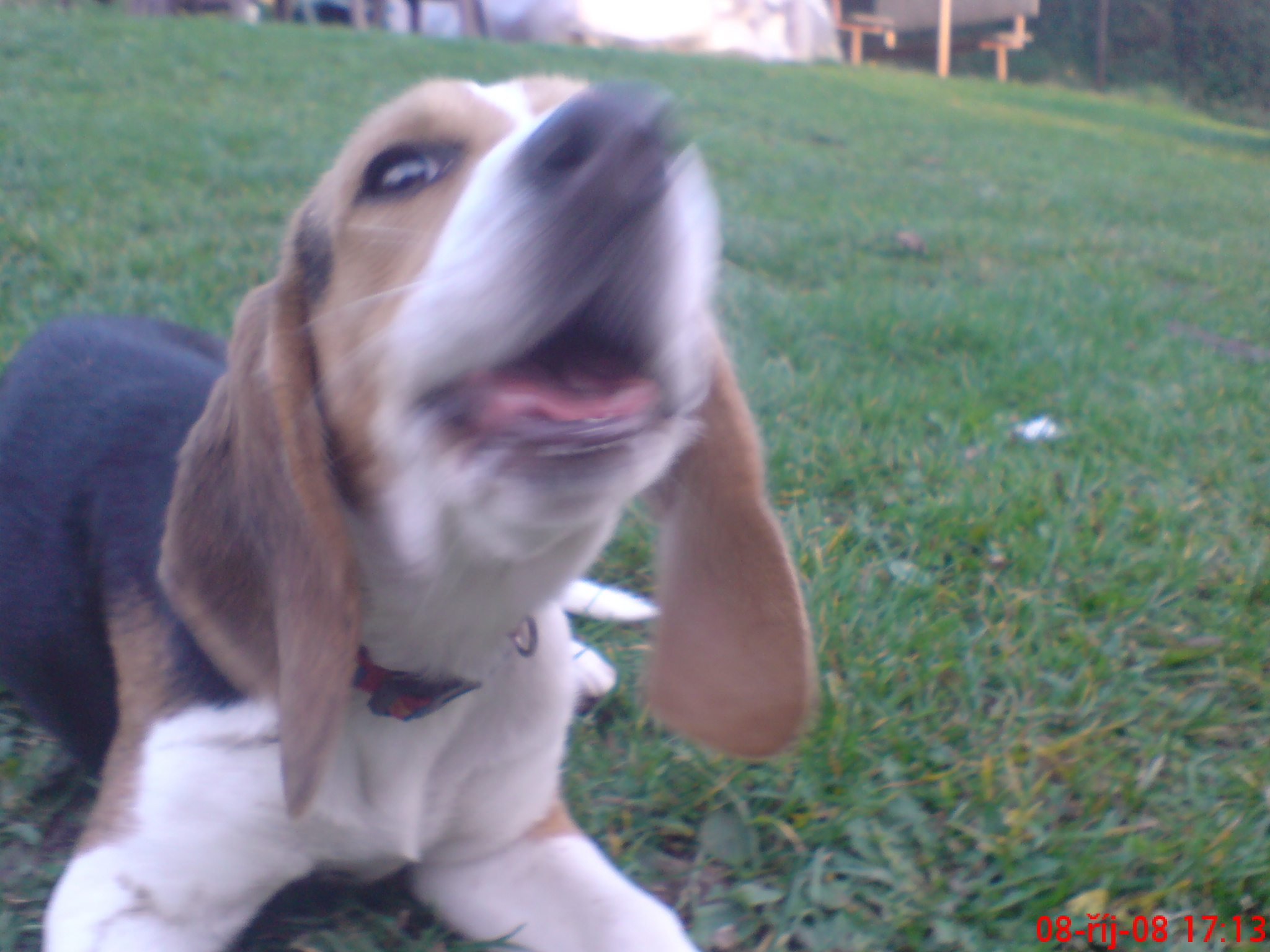 DSC00054.JPG