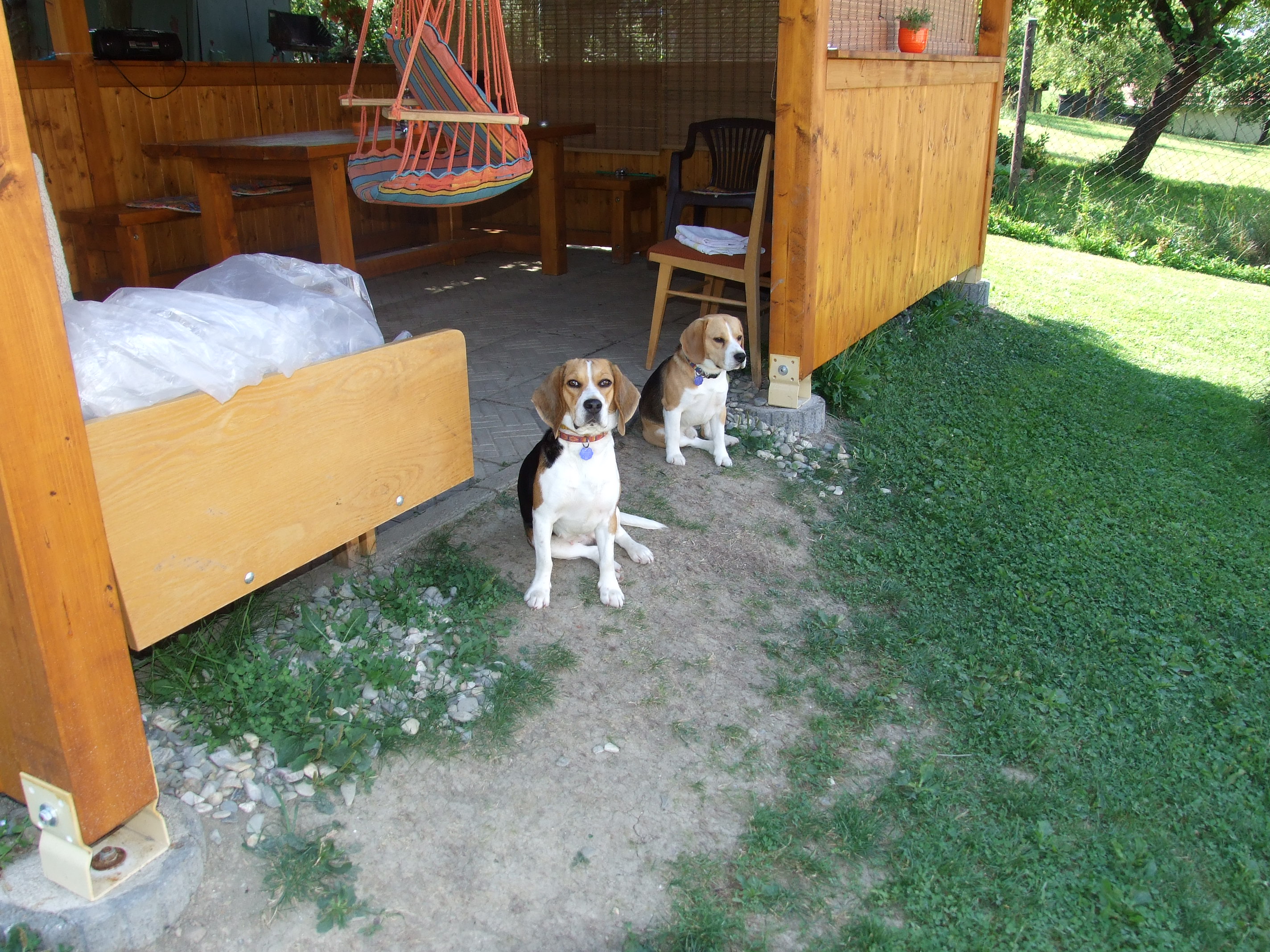 DSCF1920.JPG
