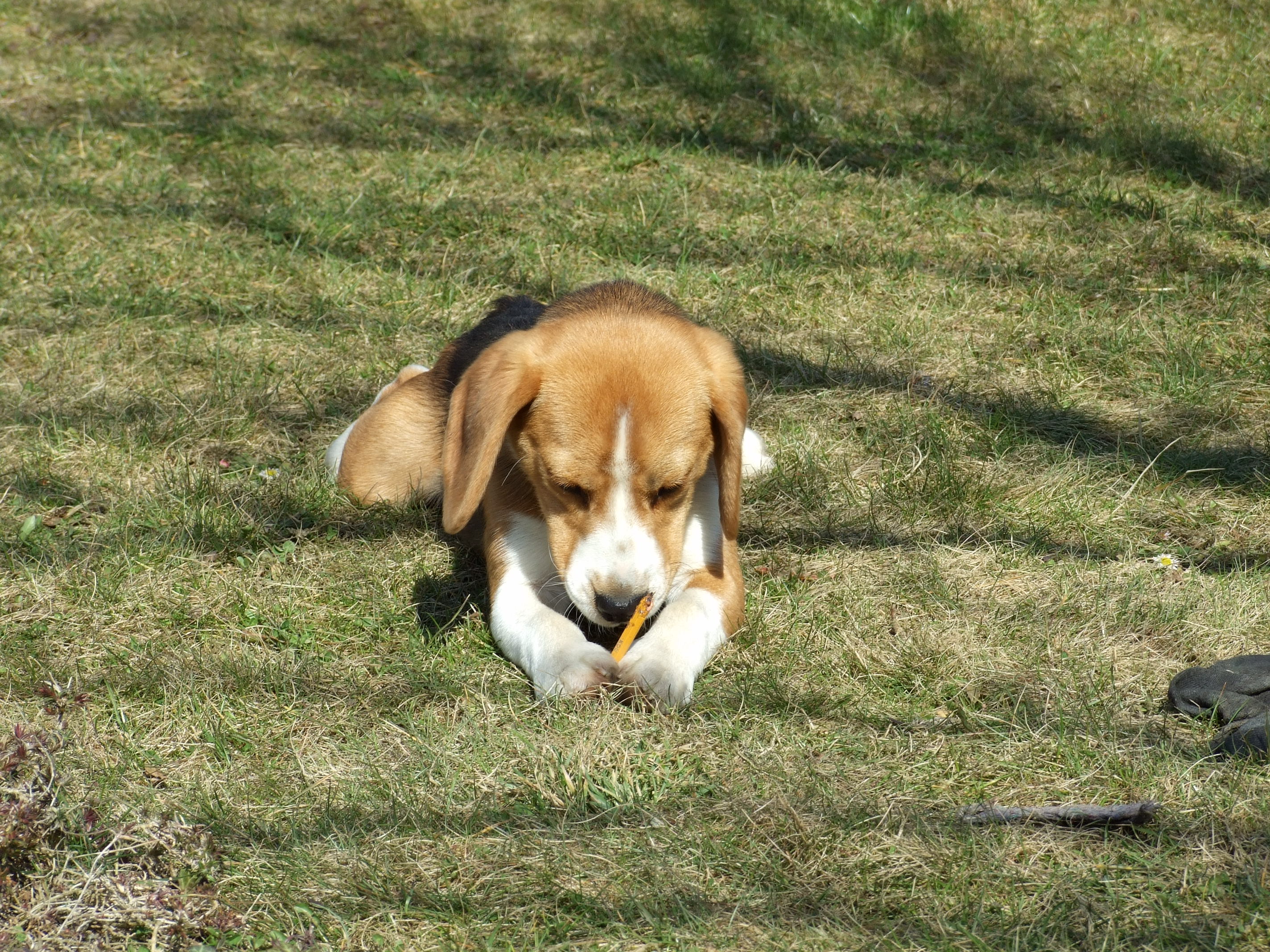 DSCF1421.jpg